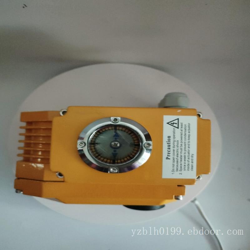 电动执行器 SKD-25 AC220V 智能阀门电动装置