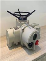 多回转阀门电动装置 DZW30-24 电动执行机构