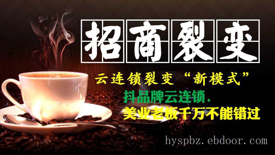 抖品牌.云连锁.起盘.招商.推广.模式