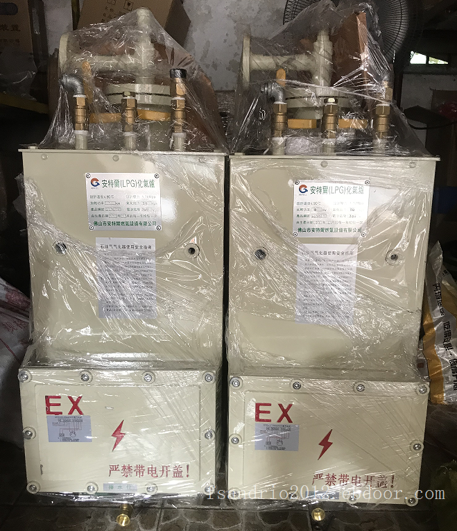 220V电源中邦电热式50kg气化炉
