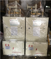 220V电源中邦电热式50kg气化炉
