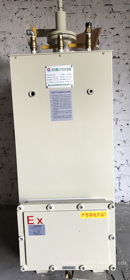 供煤气200kg/300kg/500kg电热式气化器/气化炉13360326736