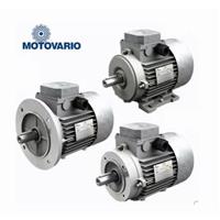 MOTOVARIO-T/TB电机