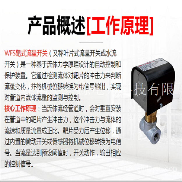 宏源WFS靶式流量开关