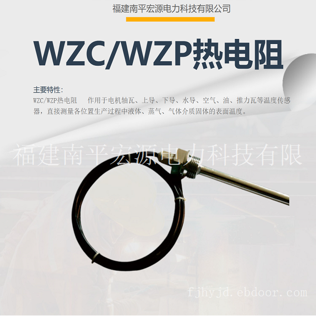 宏源WZC/WZP热电阻