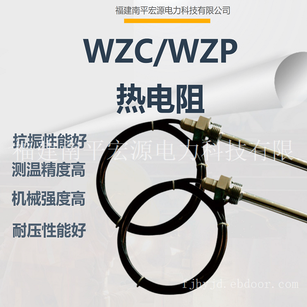 宏源WZC/WZP热电阻