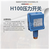宏源H100压力开关