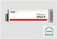 宜鼎E1.S 4TG2-P是一款符合 E1.S 規格的 NVMe SSD