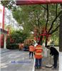 马群花港幸福城附近下水道疏通各种排水管道疏通维修改造呀