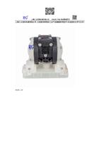 上海仁公气动隔膜泵RG150A1