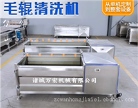 毛辊摩擦去泥去皮清洗机 根茎类果蔬清洗机