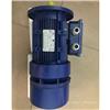 SEIMEC MOTOVARIO MGM COEL