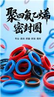 极端温差工况聚四氟乙烯密封圈