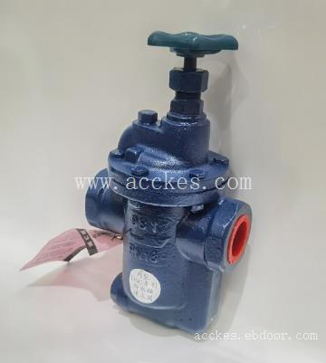 中国台湾DSC倒筒式节能疏水阀981K型