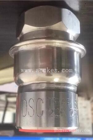 中国台湾DSC热静力式疏水阀S70型