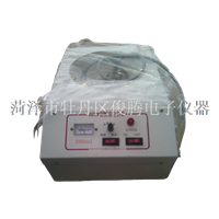 DZTW-1000ml电子调温电热套