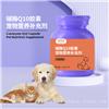 宠物辅酶Q10胶囊OEM贴牌代加工 宠物营养食品定研发