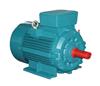 1D系列三相异步电动机