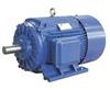 MD2E系列三相异步电动机