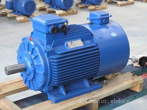 MDSP系列变频电机