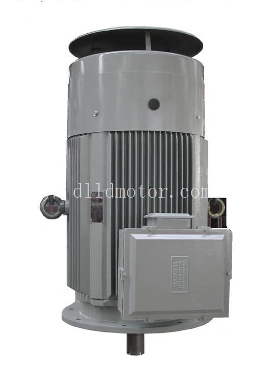 YP2系列立式变频电机