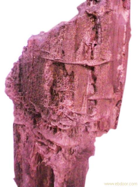 硅化木8�