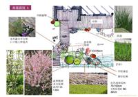 案例展示4 
