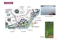 左岸庭效果图 