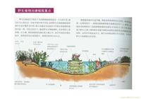 左岸庭效果图列 
