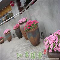 花草绿化 