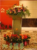 沁芳花草绿化 