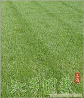 果岭草