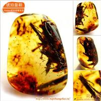 琥珀皇朝★波兰琥珀蜜蜡★罕品植物珀★内包树枝、 