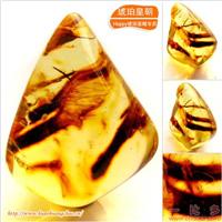 琥珀皇朝★波兰琥珀蜜蜡★罕品植物珀★内包树枝、草根带矿皮 