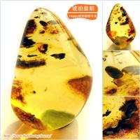 琥珀皇朝★波兰琥珀蜜蜡★罕品植物珀★内包树枝、草根带矿皮 