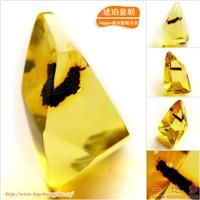 琥珀皇朝★波兰琥珀蜜蜡★罕品植物珀★内包树枝、草根带矿 