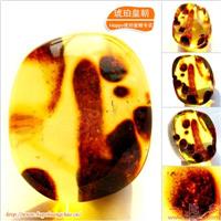 琥珀皇朝★波兰琥珀蜜蜡★罕品植物珀★内包树枝、草根带矿皮 