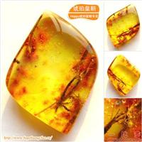 琥珀皇朝★波兰琥珀蜜蜡★罕品植物珀★内包树枝、草根带矿皮 