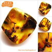 琥珀皇朝★波兰琥珀蜜蜡★罕品植物珀★内包树枝、草根带矿皮 