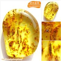 琥珀皇朝★波兰琥珀蜜蜡★罕品植物珀★内包树枝、草根带矿皮 