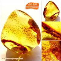 琥珀皇朝★波兰琥珀蜜蜡★罕品植物珀★内包树枝、草根带矿皮 
