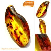 琥珀皇朝★波兰琥珀蜜蜡★罕品植物珀★内包树枝、草根带矿皮 