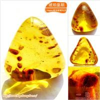 琥珀皇朝★波兰琥珀蜜蜡★罕品植物珀★内包树枝、草根带矿皮 
