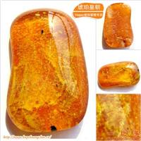 琥珀皇朝★波兰琥珀蜜蜡★罕品植物珀★内包树枝、草根带矿皮 