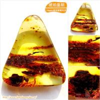 琥珀皇朝★波兰琥珀蜜蜡★罕品植物珀★内包树枝、草根带矿皮 