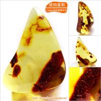 琥珀皇朝★波兰琥珀蜜蜡★罕品植物珀★内包树枝、草根带矿皮 