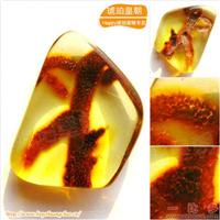 琥珀皇朝★波兰琥珀蜜蜡★罕品植物珀★内包树枝、草根带矿皮 