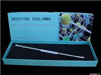 Boston Ion聚合物离子交换柱