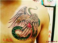老鹰叼蛇-上海专业纹身