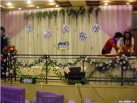 石家庄的婚庆司仪